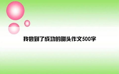 我尝到了成功的甜头作文500字