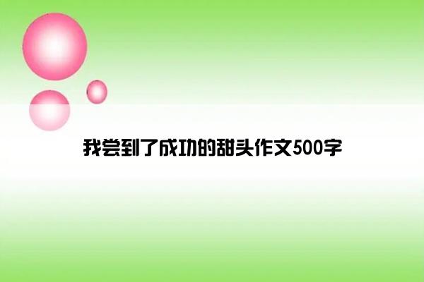 我尝到了成功的甜头作文500字