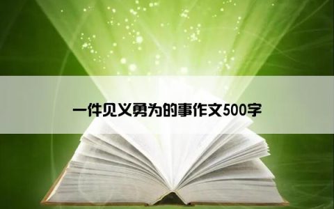 一件见义勇为的事作文500字