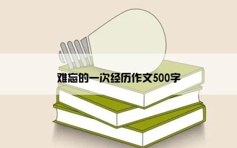 难忘的一次经历作文500字
