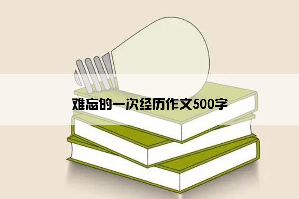 难忘的一次经历作文500字