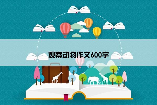 观察动物作文600字