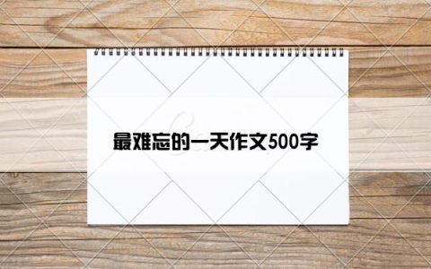 最难忘的一天作文500字