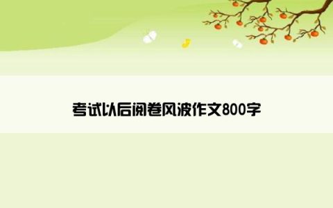 考试以后阅卷风波作文800字