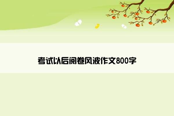 考试以后阅卷风波作文800字