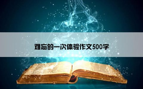 难忘的一次体验作文500字