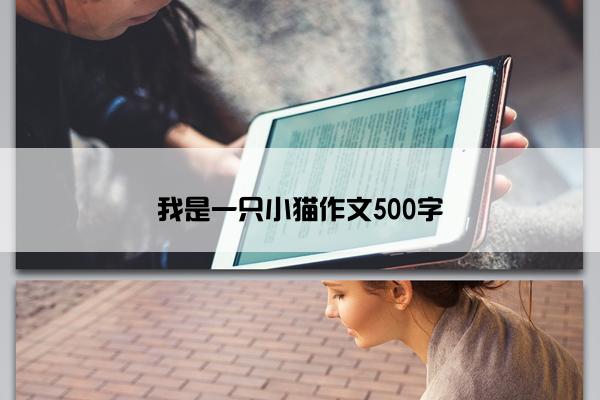 我是一只小猫作文500字