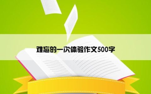 难忘的一次体验作文500字