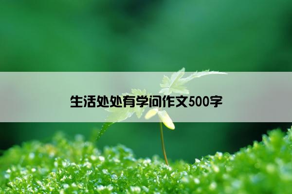 生活处处有学问作文500字