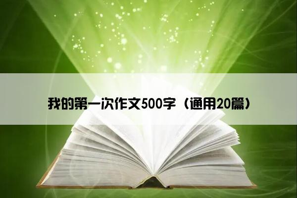 我的第一次作文500字（通用20篇）