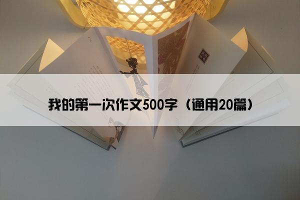 我的第一次作文500字（通用20篇）