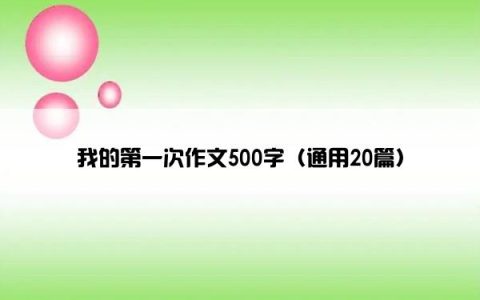 我的第一次作文500字（通用20篇）