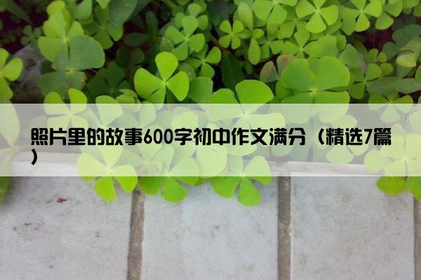 照片里的故事600字初中作文满分（精选7篇）