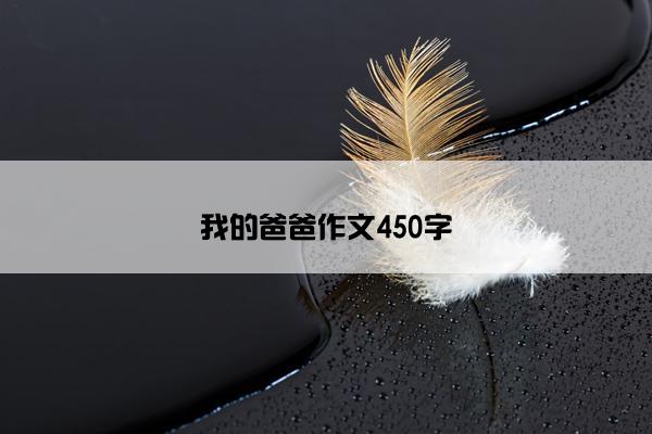 我的爸爸作文450字