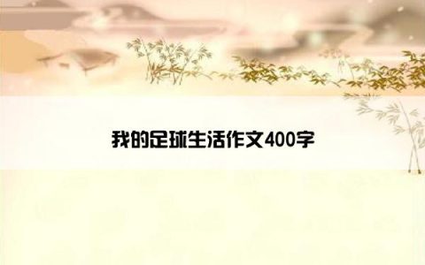 我的足球生活作文400字