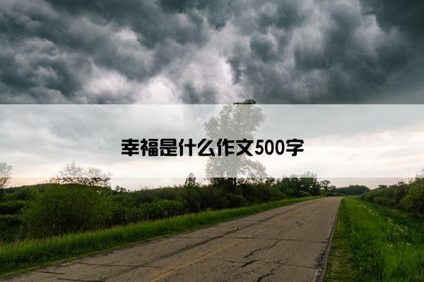 幸福是什么作文500字