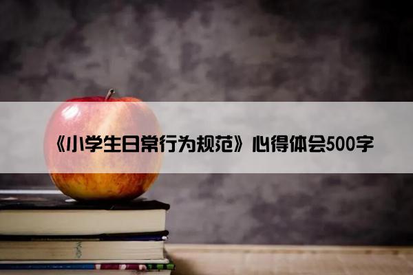 《小学生日常行为规范》心得体会500字