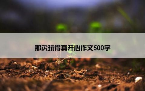 那次玩得真开心作文500字