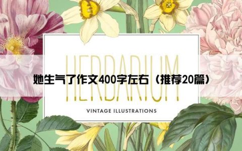 她生气了作文400字左右（推荐20篇）
