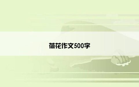 荷花作文500字