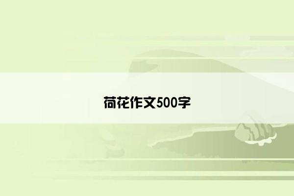 荷花作文500字