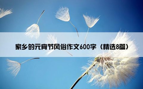 家乡的元宵节风俗作文600字（精选8篇）