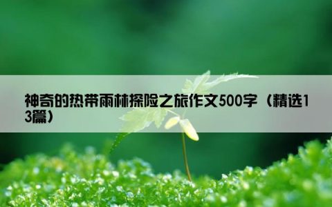 神奇的热带雨林探险之旅作文500字（精选13篇）