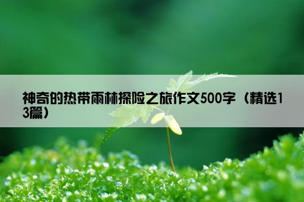 神奇的热带雨林探险之旅作文500字（精选13篇）