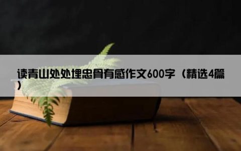 读青山处处埋忠骨有感作文600字（精选4篇）