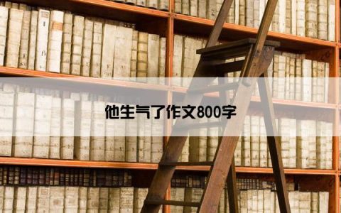他生气了作文800字