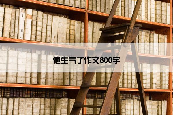 他生气了作文800字