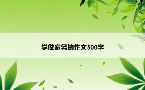 学做家务的作文500字