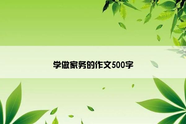 学做家务的作文500字