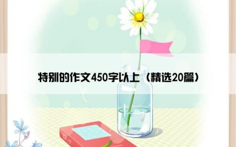 特别的作文450字以上（精选20篇）