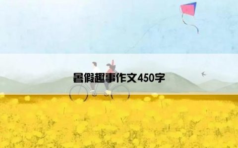 暑假趣事作文450字