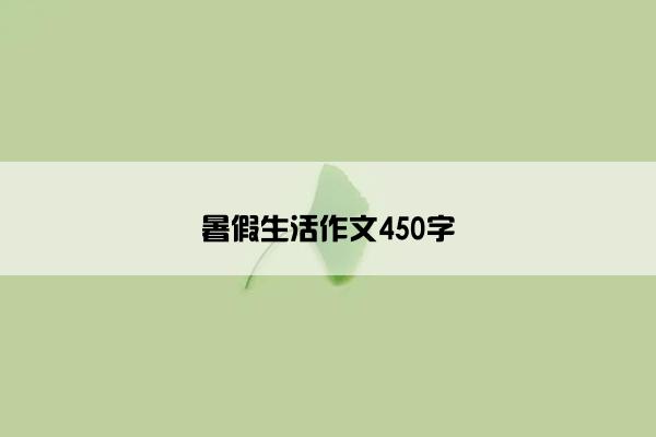 暑假生活作文450字