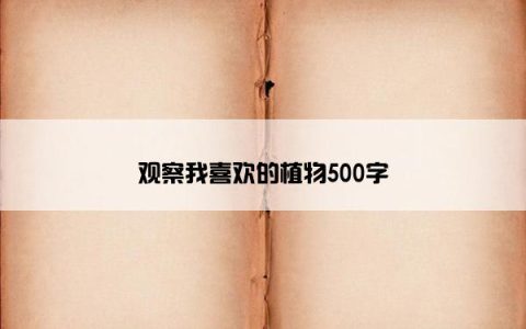 观察我喜欢的植物500字
