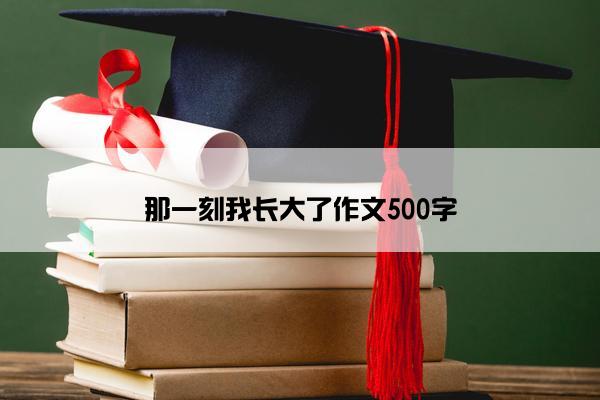 那一刻我长大了作文500字