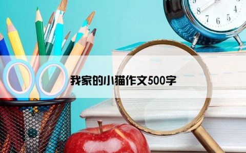 我家的小猫作文500字