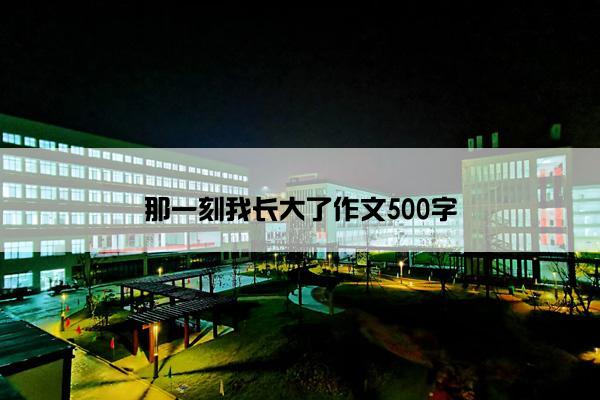 那一刻我长大了作文500字