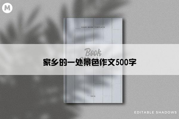 家乡的一处景色作文500字