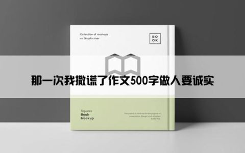 那一次我撒谎了作文500字做人要诚实