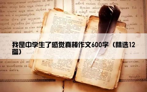 我是中学生了感觉真棒作文600字（精选12篇）