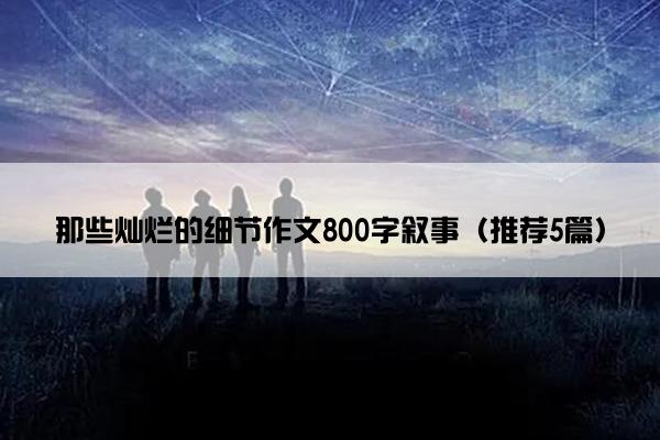 那些灿烂的细节作文800字叙事（推荐5篇）