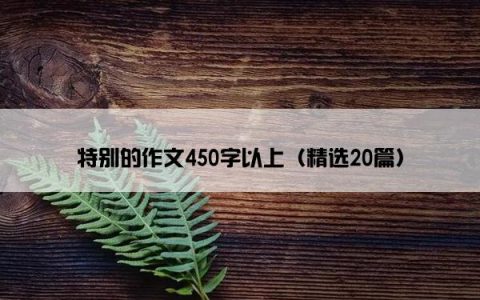 特别的作文450字以上（精选20篇）