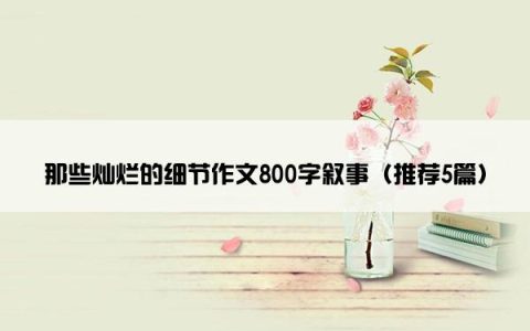那些灿烂的细节作文800字叙事（推荐5篇）
