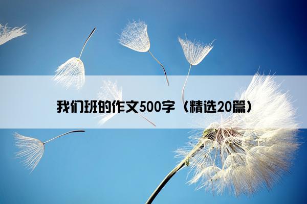 我们班的作文500字（精选20篇）