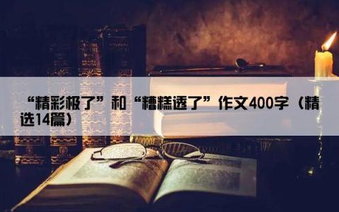 “精彩极了”和“糟糕透了”作文400字（精选14篇）