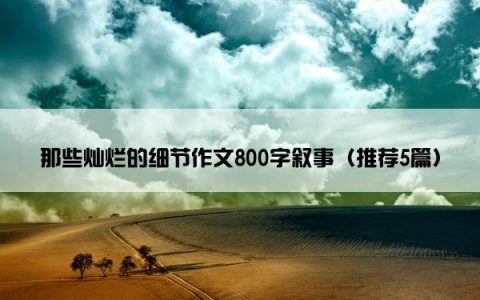 那些灿烂的细节作文800字叙事（推荐5篇）