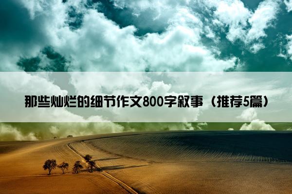 那些灿烂的细节作文800字叙事（推荐5篇）